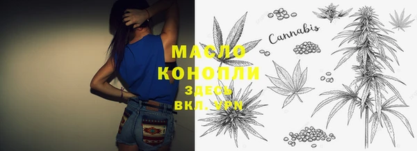 дмт Аркадак