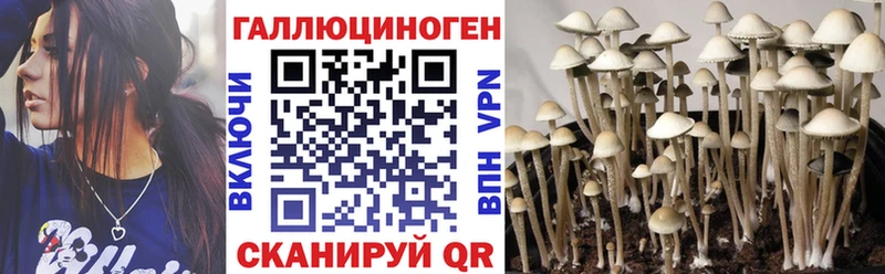 купить  сайты  Лиски  Галлюциногенные грибы мухоморы 